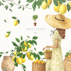 Sommar Clipart - Akvarell Citronträd Clipart - Citrus Clipart - Citrongren Sommar Clipart - Medelhavs Clipart Handmålad Flicka PNG