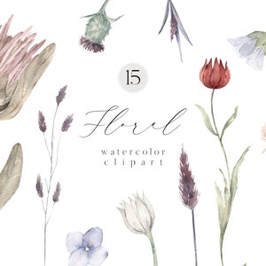 May include: A set of 15 watercolor floral clipart illustrations. The illustrations include a variety of flowers, leaves, and stems in shades of pink, blue, green, and red. The text "Floral watercolor clipart" is included in the image.