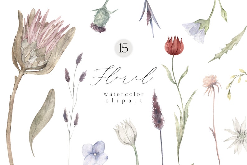 May include: A set of 15 watercolor floral clipart illustrations. The illustrations include a variety of flowers, leaves, and stems in shades of pink, blue, green, and red. The text "Floral watercolor clipart" is included in the image.