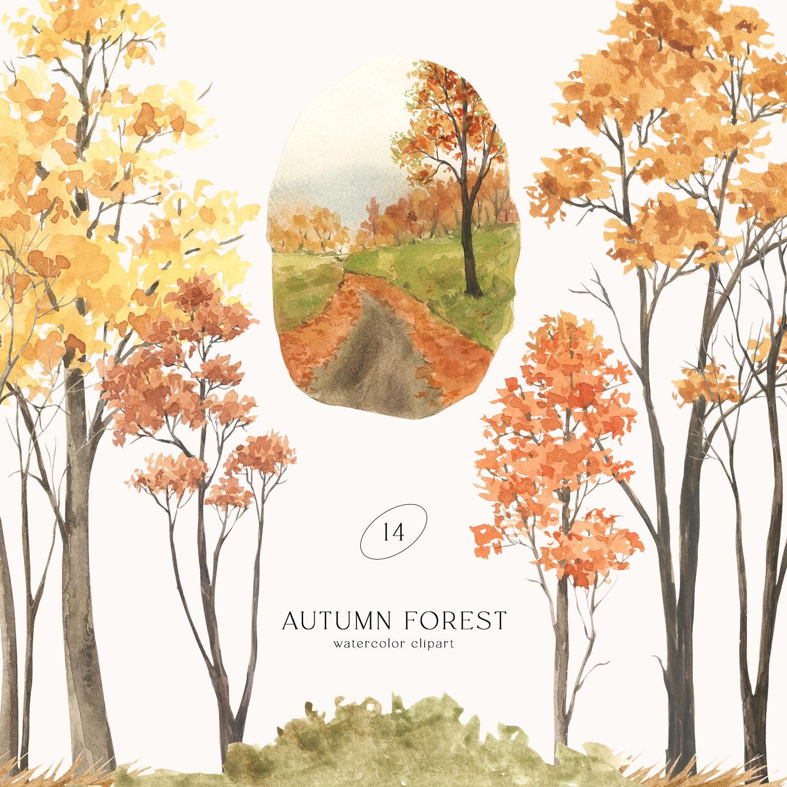 Autumn Forest - Watercolor Fall Clipart - Forest Clipart - Fall Landscape - Autumn - Seasonal Clipart - Fall Trees - Nature Clipart