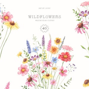 Clipart fleurs des champs de vigne aquarelle fleurs Png - bouquet de fleurs - faire-part de mariage - champ d'été - couronnes de fleurs - clipart baby shower