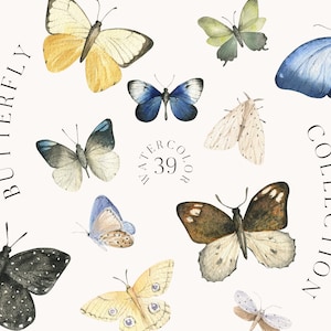 Aquarell Schmetterling Insekt Baby shower Frühling DIY Elemente für romantische Hochzeit Einladung Greeting Card Clipart png