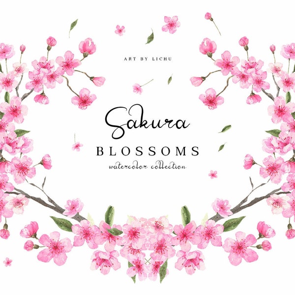 Sakura Blossoms Watercolor Flowers Pink Cherry Blooming Floral Frame Springtime Png Dainty Bouquets Bloom Branch Digital Pattern Baby Shower