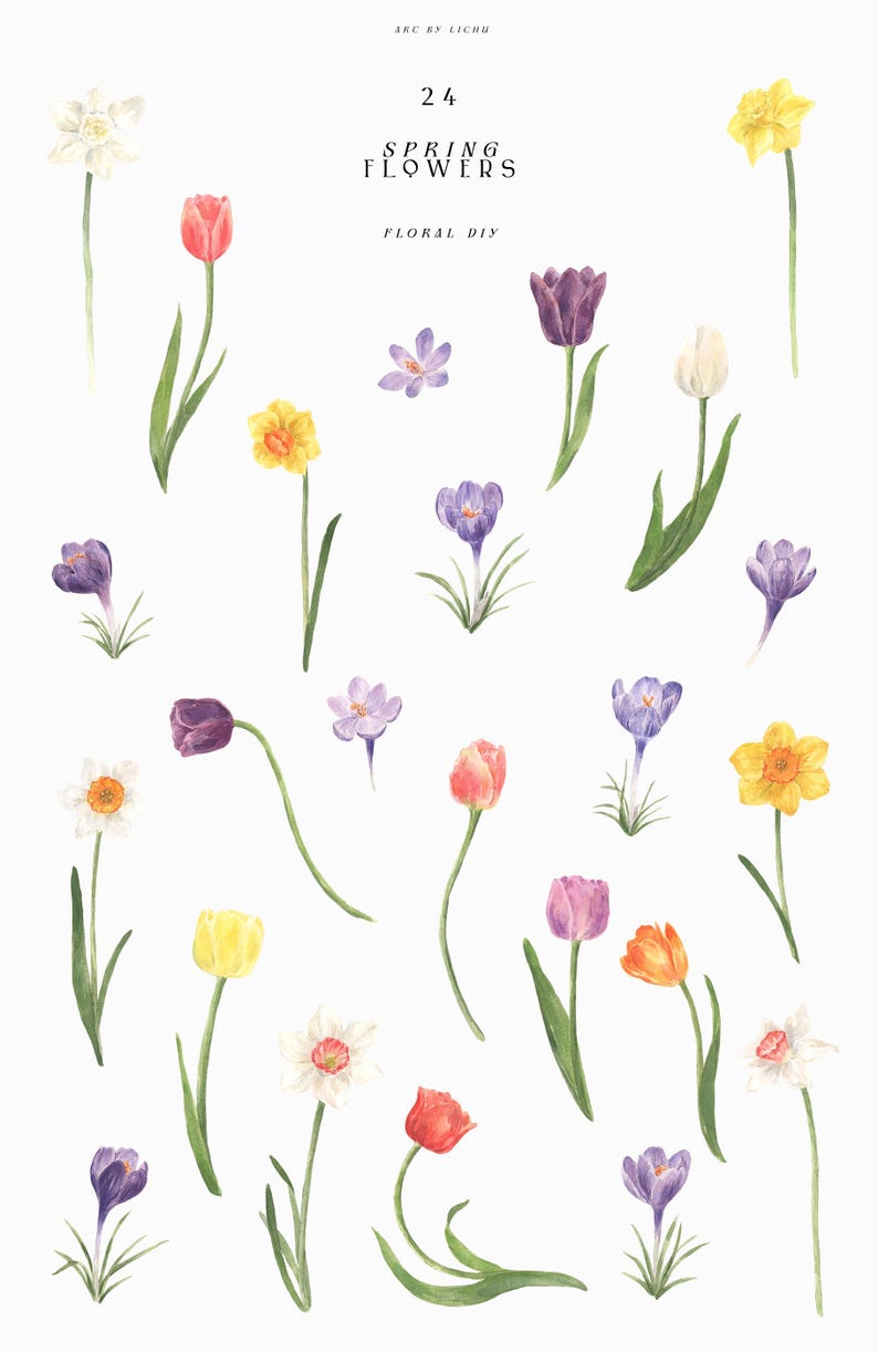Spring Flowers - Floral Clipart - Watercolor Bouquets - Botanical Art ...