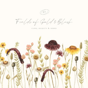 Clipart aquarelle fleurs sauvages - bordure florale bohème rustique bouquets de fleurs sauvages - fleurs séchées blush doré PNG - composition florale