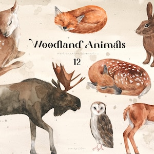 Clipart aquarelle animaux de la chambre de bébé, chevreuil, renard, écureuil, lapin, hibou, loup, sublimation d'animaux de la forêt png clipart pour baby shower