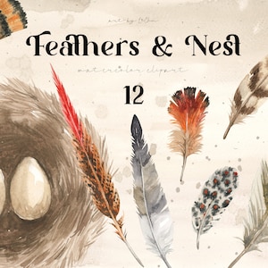 Aquarell Federn Clipart Vögel nisten Clipart Vintage Ostern Frühling Clipart Sublimation png Hochzeitseinladung Kinderzimmer-Wandkunst