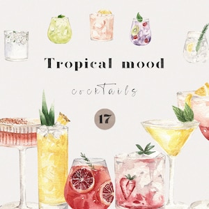 Clipart di cocktail ad acquerello Miscela di bevande tropicali Succo Alcol Aperol Gin Liquore Vodka Tequila Rum Menu del bar Logo Cucina Sublimazione png