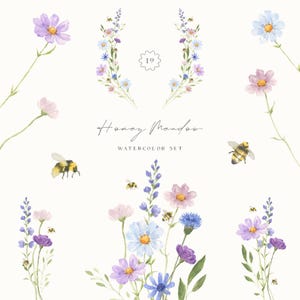 Clipart acquerello di prato estivo - Prato di miele - Set floreale di fiori di campo - Clipart di matrimonio - Bouquet di ghirlande floreali - Fiori di campo PNG