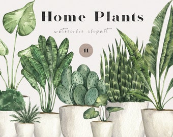 Watercolor Houseplants Greenery Gardening Home Plants Snake Plant Monstera Cactus Clip Art Garden boho clipart png