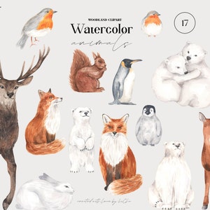 Clipart animaux aquarelle cerfs des bois renard lapins lapin oiseaux Cardinal ours polaire pingouin écureuil forêt Sublimation clipart png