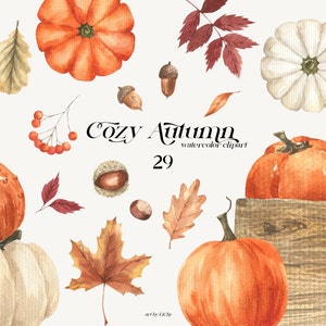 Clipart autunnale ad acquerello Raccolto autunnale Foglie di zucca Fogliame Verdure Sublimazione Download digitale Giorno del Ringraziamento Accogliente clip art png
