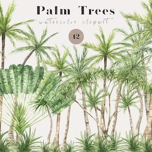 Aquarela vegetação árvores tropicais arbustos plantas Jardim palmeira paisagem plantas primavera verão Sublimação clipart png
