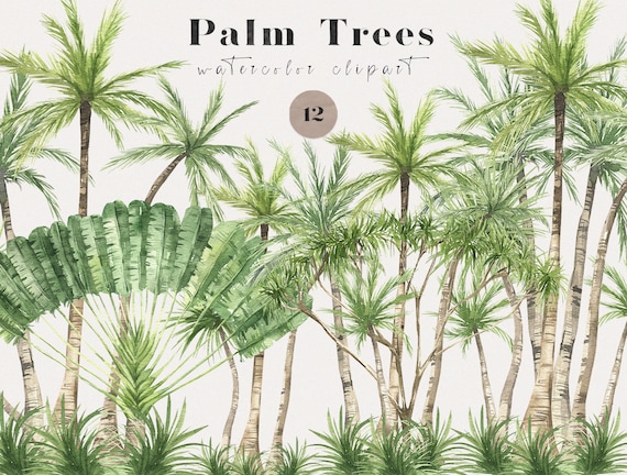 Watercolor greenery tropical trees bushes plants Garden palm tree landscape plants spring summer Sublimation clipart png