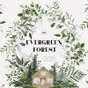 Aquarelle forêt à feuilles persistantes Clipart maison chalet arbres sapin cône cadre couronne alphabet motif montagnes Floral verdure bouquets art png