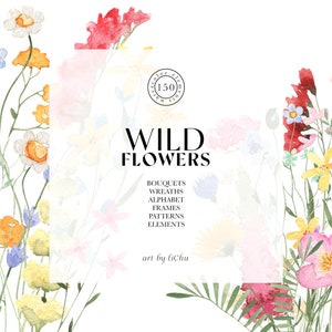 Clipart di fiori di campo ad acquerello Prato Selvaggio Estate Fiore Primavera Fiore Campo Floreale Luminoso Erbe Invito a nozze clip sublimazione png