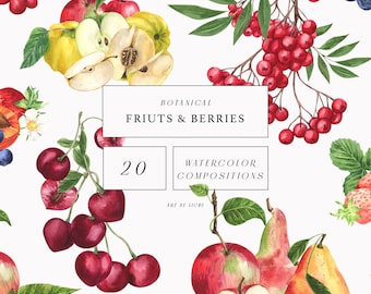 Watercolor Fruits Clipart Summer Berry Roman Berry Strawberries Plums Currants Pear Blueberries Harvest Food Juicy Birthday Sublimation png