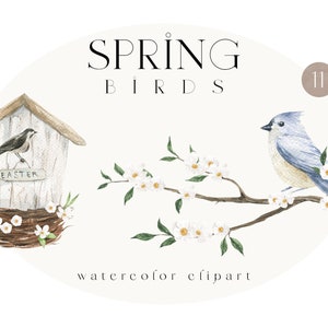 Vogel en tak Boho bloemen lentebloemen botanisch voor kinderkamerinrichting clipart, png