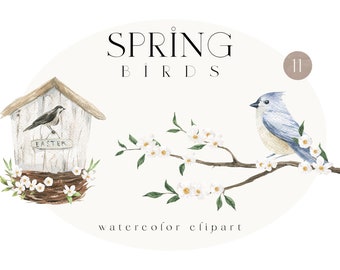 Bird and branch Boho floral Spring flowers botanical for Nursery Decor clipart png