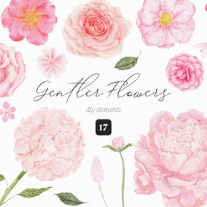 Aquarell Blumen Clipart Rosen Blumensträuße Blumenschmuck Pink Peony Zarte Kamelie Sommer Hochzeit Einladen Baby Shower Sublimation png