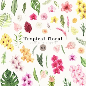 Tropical Flowers Clipart Watercolor Floral Greenery Monstera Leaves Bouquet Colourful Orchid Roses Hawaii Wedding Invitation clip art png