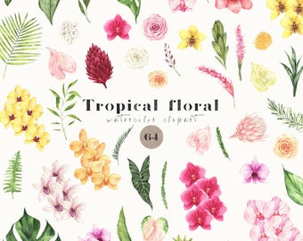 May include: Watercolor clipart featuring a collection of tropical floral elements. The image includes various flowers in shades of pink, yellow, and red, along with green leaves and foliage. The text "Tropical floral watercolor clipart" is displayed.