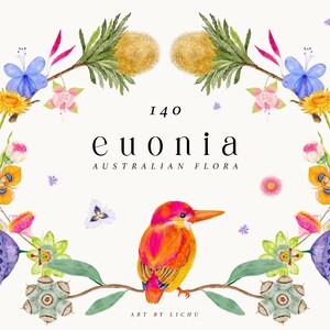 Aquarelle fleurs australiennes Clipart arrangement floral exotique oiseaux lumineux bouquets guirlande cadres bordure transparente motif Sublimation png
