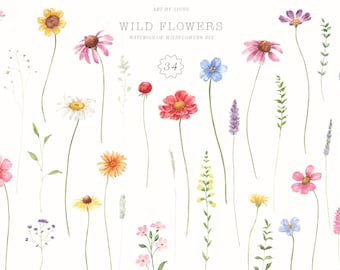 May include: Watercolor illustration of 34 different wildflower designs. The flowers are painted in various colors, including pink, red, yellow, blue, and white. The flowers are arranged in a random pattern on a white background. The text "WILD FLOWERS" is written in black at the top of the image.