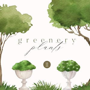 Acquerello verde alberi cespugli piante Giardino pesco pera melo paesaggio primavera estate Sublimazione clipart png