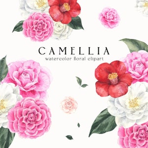 Camellia Clipart Watercolor Flowers Bouquet Floral Arrangement Wedding Invitation Botanical Clip Art Dainty Flora Sublimation png