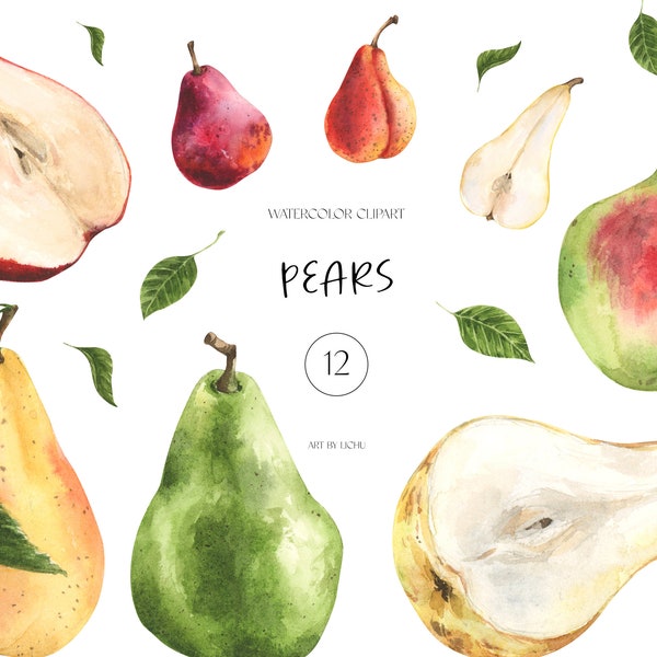 Watercolor Pears Clipart Summer Fruits Food Illustrations Juicy Slices of Pear Botanical Clip Art Garden Harvest Printable Sublimation png