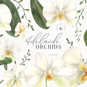 Aquarel orchideeën clipart bloemen tropische boho bloemen witte boho boeket moderne orchideebloem bruiloft clip art sublimatie png