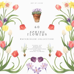 Fleurs printanières - Clipart floral - Aquarelle de bouquets - Art botanique - Fleurs de jardin - Motifs floraux Esthétique de ferme Fleurs sauvages png