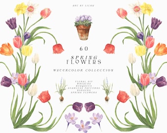 May include: A watercolour illustration of 60 spring flowers, including tulips, daffodils, crocuses, and hyacinths. The flowers are arranged in a symmetrical design, with a potted plant in the centre. The text "60 Spring Flowers Watercolor Collection" is written below the image.
