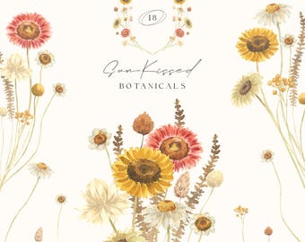Sun-Kissed Wildflower Watercolor Clipart – Dried Floral PNG - Floral Bouquet - Rustic Summer Botanical Set Scrapbook Digital Download
