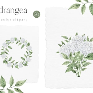 Aquarell Hortensien Kranz Blumenrahmen weiße Blumen Grün Blumenstrauß für Hochzeitseinladung Clipart png