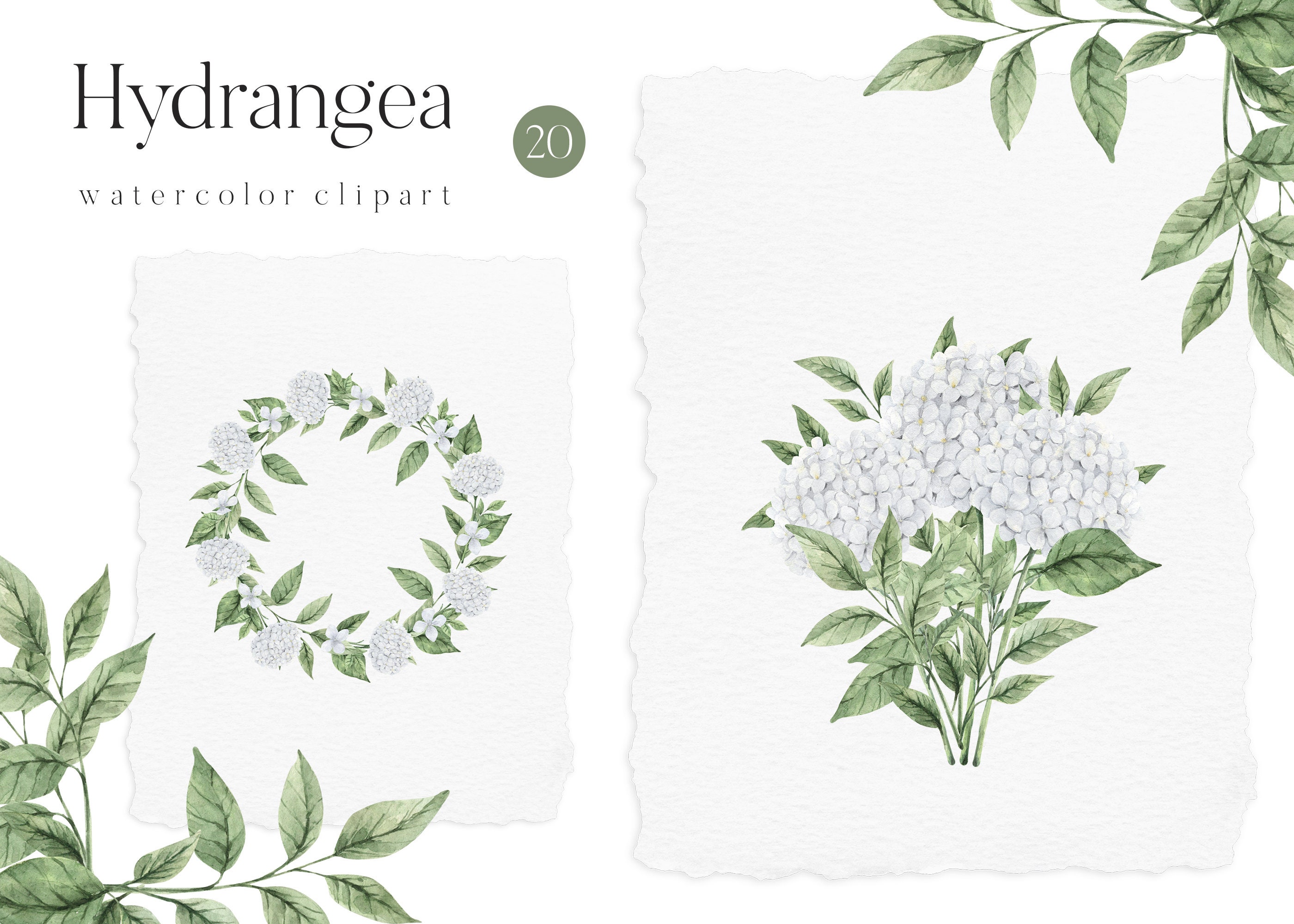 Watercolor Hydrangea Wreath Floral Frame White Flowers Greenery Bouquet for Wedding Invitation clipart png