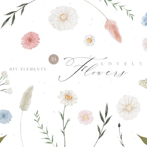 Blumen Aquarell Boho Blumen Gänseblümchen Rosa Blau Kornblumen Wildblumen Wildblumen Blumen DIY für Hochzeiteinladung karte Clipart png