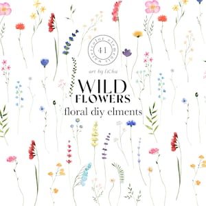 Wildflower Clipart Aquarela margarida flor selvagem png Boho floral Folhas verdes galho para logotipo Convite de casamento Decoração de berçário clipart