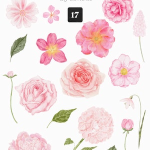 Watercolor Floral Clipart Gentler Flowers Wildflowers Wreath Pink Peonies Hydrangea Camellia Frame Wild Flora Monogram Sublimation png image 9