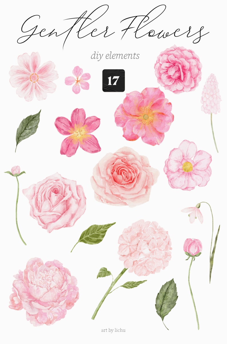 Watercolor Floral Clipart Gentler Flowers Wildflowers Wreath Pink Peonies Hydrangea Camellia Frame Wild Flora Monogram Sublimation png image 9