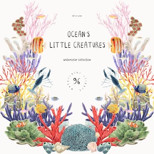 Ocean Clipart Bundle - Aquarell Meerestiere, Korallenriff, Fische, Delfine, Wale, Ozeanmuster, Meeresleben PNG, Unterwasser Illustration