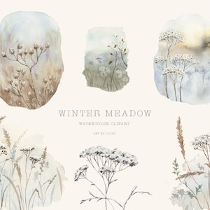 Acuarela de prado invernal, ilustraciones botánicas de flores silvestres nevadas para invitaciones de boda, álbumes de recortes, manualidades navideñas, imágenes prediseñadas png