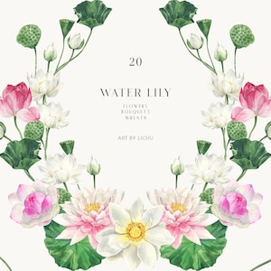 Set di clipart di ninfee - bouquet di fiori di loto dipinti a mano - grafica floreale botanica ad acquerello per inviti di nozze e artigianato fai da te