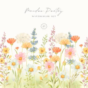 Poésie des prairies - Clipart aquarelle de fleurs sauvages, bordures florales d'été, bouquets de prairie, jardin PNG, Illustrations botaniques de mariage