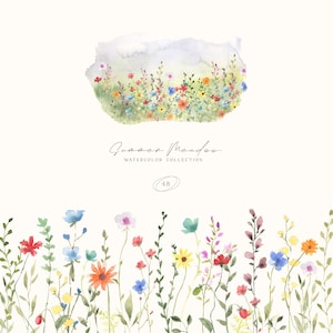 Clipart de acuarela de prado de verano - Clipart de pueblo - Bordes de flores silvestres - Clipart de flores silvestres - Ramos de campos - Arte de cuentos PNG