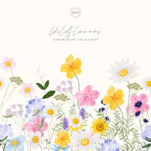 Clipart aquarelle de fleurs sauvages - couronnes de fleurs sauvages - bouquets de fleurs des prairies bordures de fleurs - fleurs des champs rustiques - clipart mariage