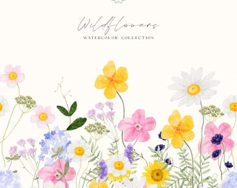 May include: Watercolor illustration of a wildflower border. The design features a variety of colorful flowers, including daisies, yellow blooms, and pink flowers, with green foliage against a cream background. The text "Wildflowers Watercolor Collection" is at the top.