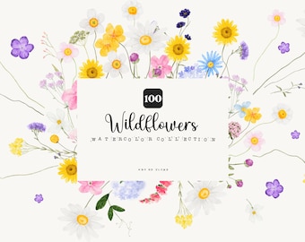 Wildflowers Watercolor Clipart Meadow Wild Summer Flower Spring Blossom Field Floral Bright Herbs Wedding Invitation clip sublimation png