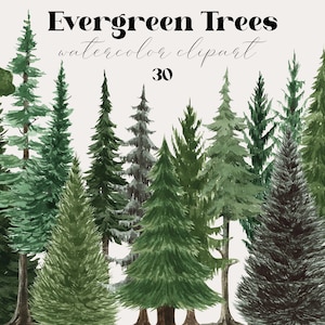 Acquerello Pino Querce Alberi Clipart Verde Foresta Albero Sempreverde Paesaggio Invito a nozze Sublimazione clip art pg